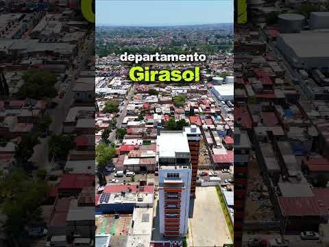 Previsualización de video