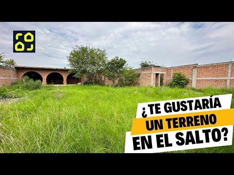 Previsualización del video